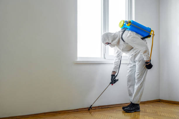 Flea Control Services in Seat Pleasant, MD