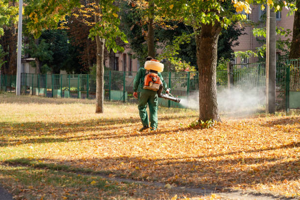 Best Rat Extermination Near Me  in Seat Pleasant, MD