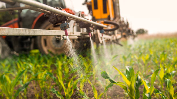 Best Ant Control Services  in Seat Pleasant, MD
